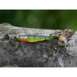 Fox Rage Slick Shad 7cm Silver Halo - obrazek 2