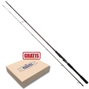 Wędka WESTIN W4 Powershad 2nd 9'/240cm XH 30-90g - obrazek 1