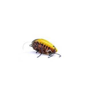 Wobler Engima Baits Owad 3cm | Żółto-Miedziany | pływający - obrazek 3