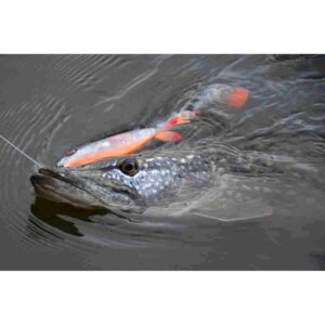 Guma SAVAGE GEAR 3D Whitefish Shad / 9 cm / 7g / Black Gold / 1szt - obrazek 2