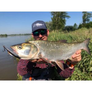 Wobler Bielik Rapid 7,5cm Czarno-Złoty, 17g - obrazek 3