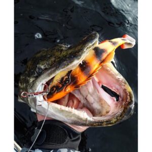 Savage Gear 4D Perch Shad 12.5cm SS 23g - Albino - obrazek 3