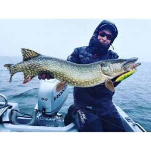 Wobler Salmo Sweeper 10cm - tonący - Real Pike - obrazek 3