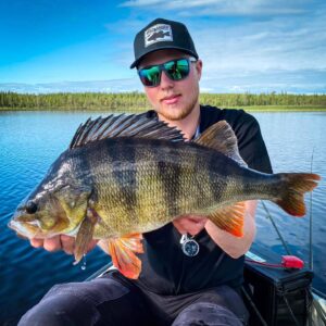 Przynęta Headbanger BangerRibs 8,6cm - Electric Shad - 5 szt. - obrazek 3