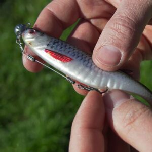 Guma DELPHIN Realix 3D / 13cm / 16g / Roach - obrazek 3
