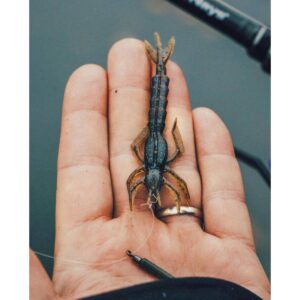 Przynęta Nays DRGN 30 - 3" - 7.6cm  - C-28 - 7szt. - obrazek 3
