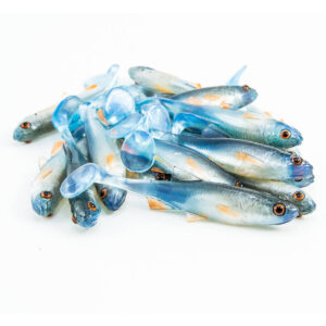 Guma Angry Lures Chub 7cm | NBO - obrazek 1