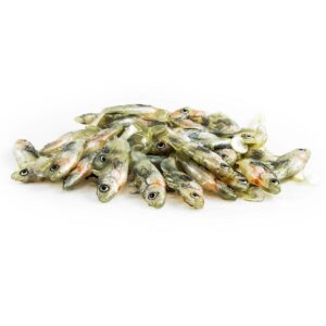 Guma Angry Lures Stickleback 6cm | S - obrazek 1