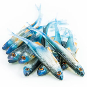 Guma Angry Lures Bleak V-Tail 11,5cm | NBO - obrazek 2