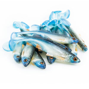 Guma Angry Lures Bleak 6,5cm | NBO - obrazek 2