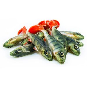 Guma Angry Lures Ruffe 10cm | PCH - obrazek 2