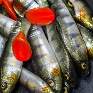 Guma Angry Lures Perch Multi Jointed 13,5cm | N - obrazek 2