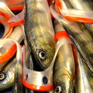 Guma Angry Lures Perch G-Tail 15cm | N - obrazek 2