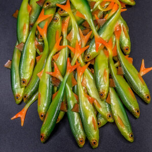 Guma Angry Lures Bleak F-Tail 10cm | GYO - obrazek 2