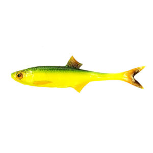 Guma Angry Lures Bleak F-Tail 15cm | GYO - obrazek 1