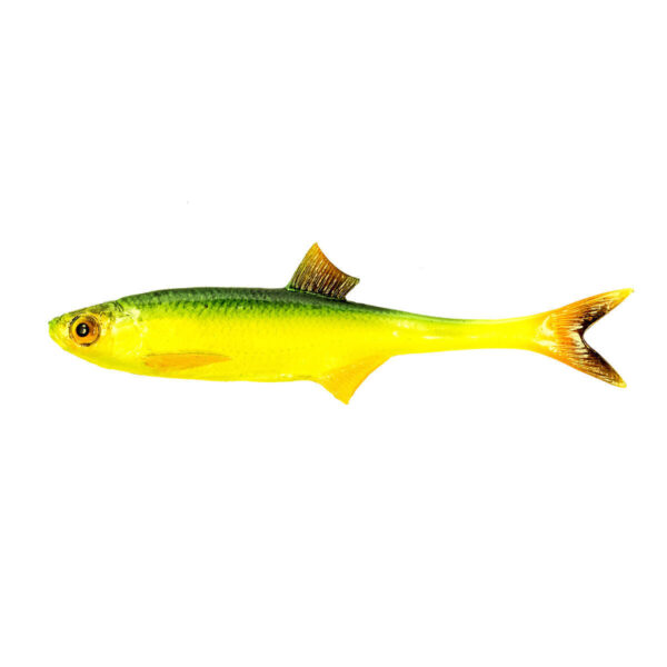 35855_2