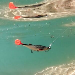 Guma DELPHIN Realix 3D / 13cm / 16g / Perch - obrazek 4