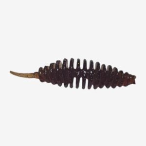 Gumy Water King Tryk tryk 2,5cm | kolor 22 | 12szt. - obrazek 1