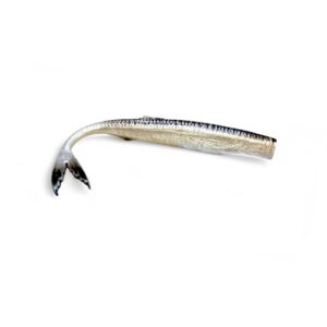Przynęta FishB Vert - 14cm - kolor 5 - obrazek 1